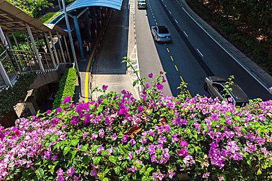 SE跨媒体企划《Deep Insanity》发布 游戏9月登陆PC＆移动端